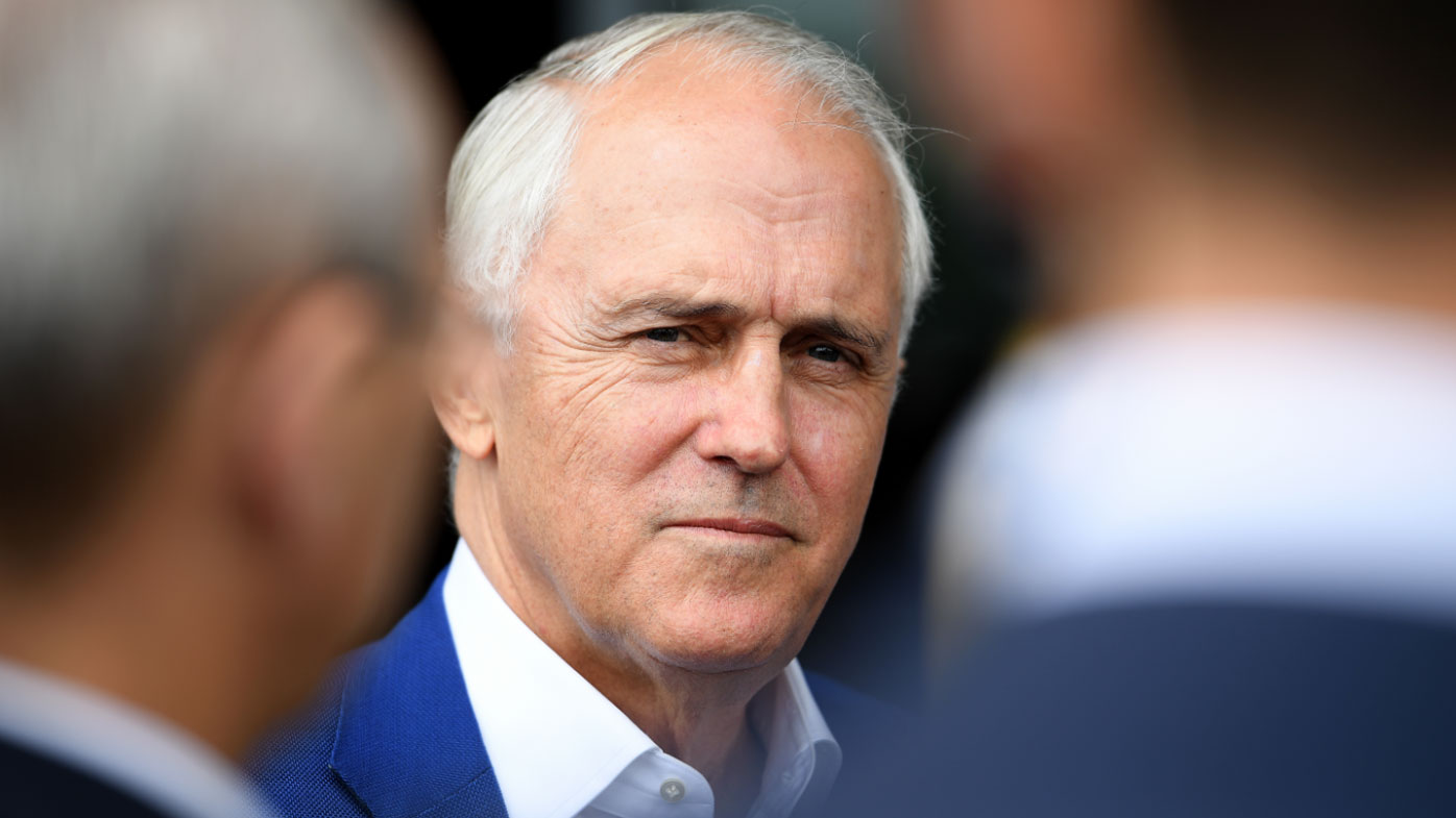 Former prime minister Malcolm Turnbull has Turnbull has blamed News Corp or dumping from NSW climate change board