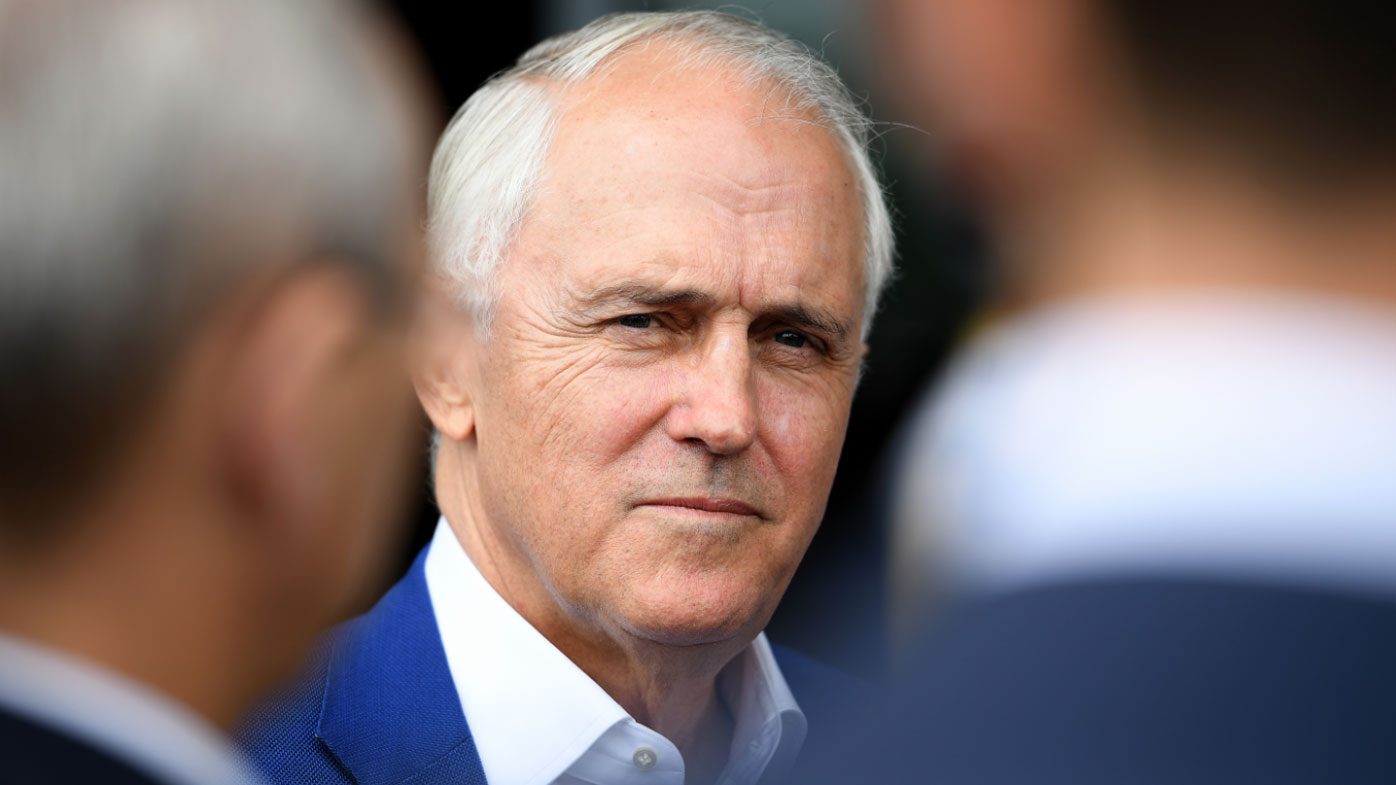 Former prime minister Malcolm Turnbull has Turnbull has blamed News Corp or dumping from NSW climate change board