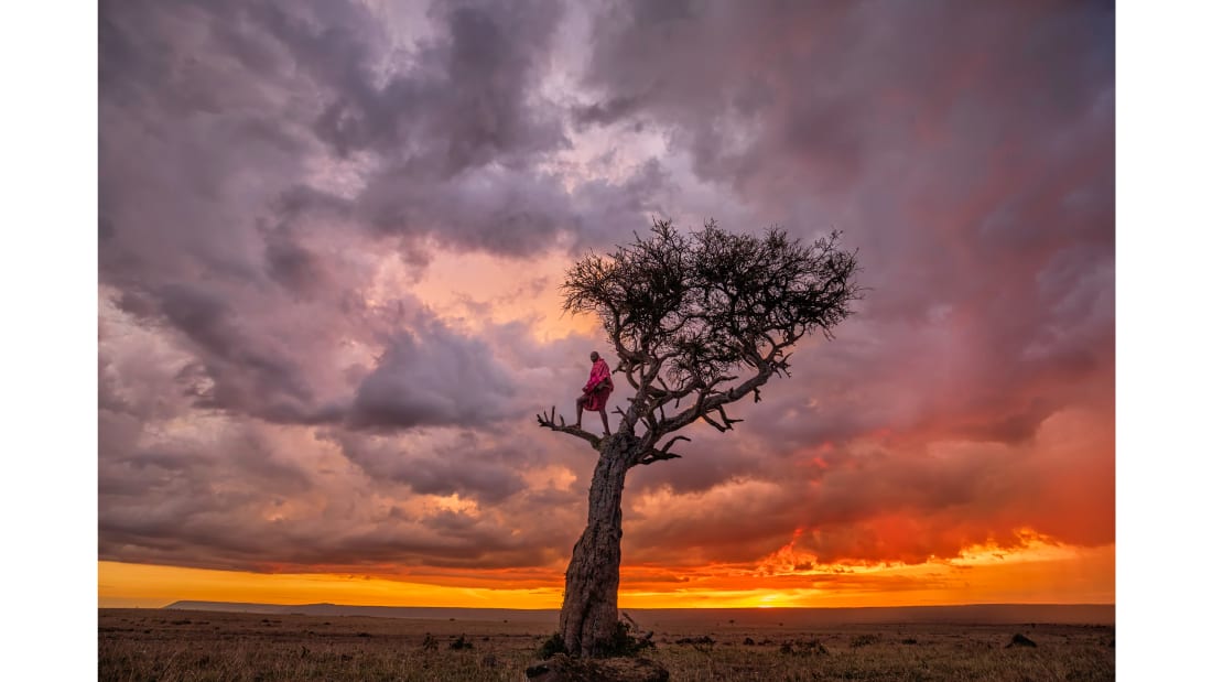 Mkapa Awards photo exhibit at Four Arts showcases wildlife of Africa