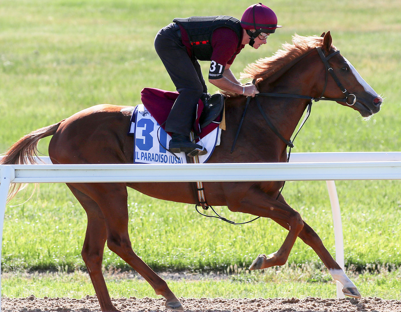 Melbourne Cup horses 2019 form guide, tips, updated odds, jockeys