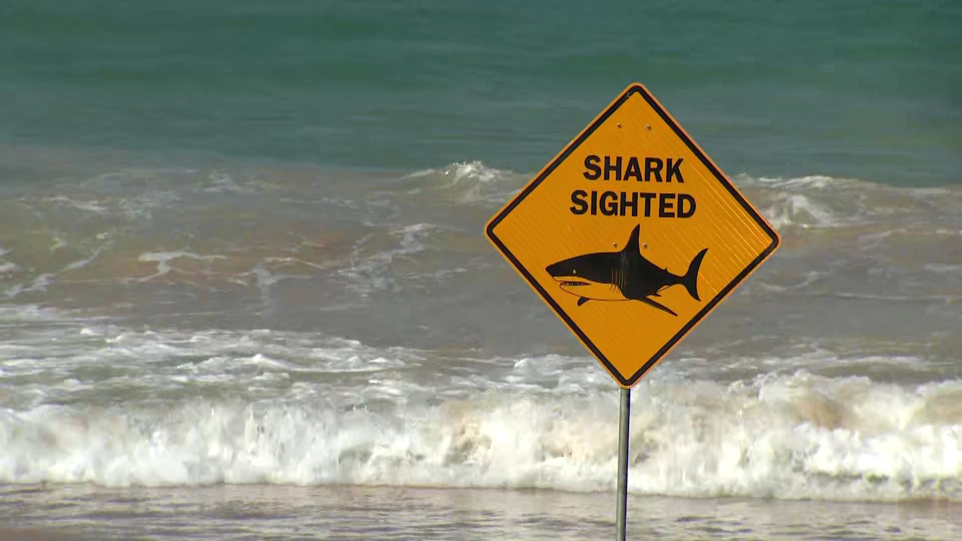 Shark-spotting drones to be deloyed at unpatroleld NSW beaches