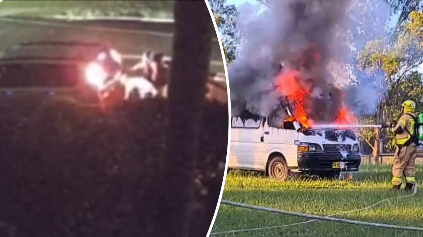 Police probe string of vehicle thefts, property damage in Sydney's west