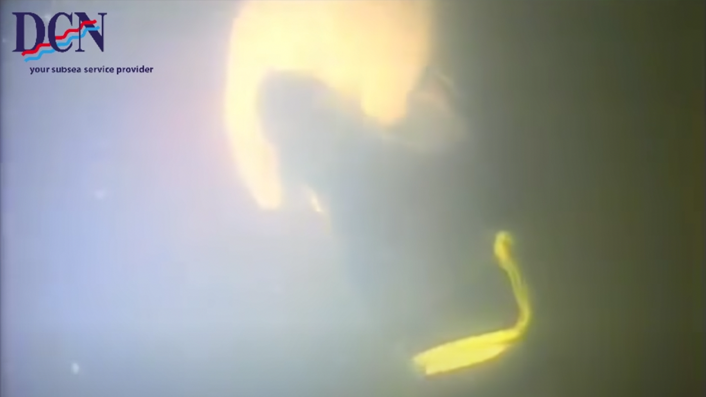 Harrison Okene and Nico van Heerden clasped hands before they saw each others' faces.