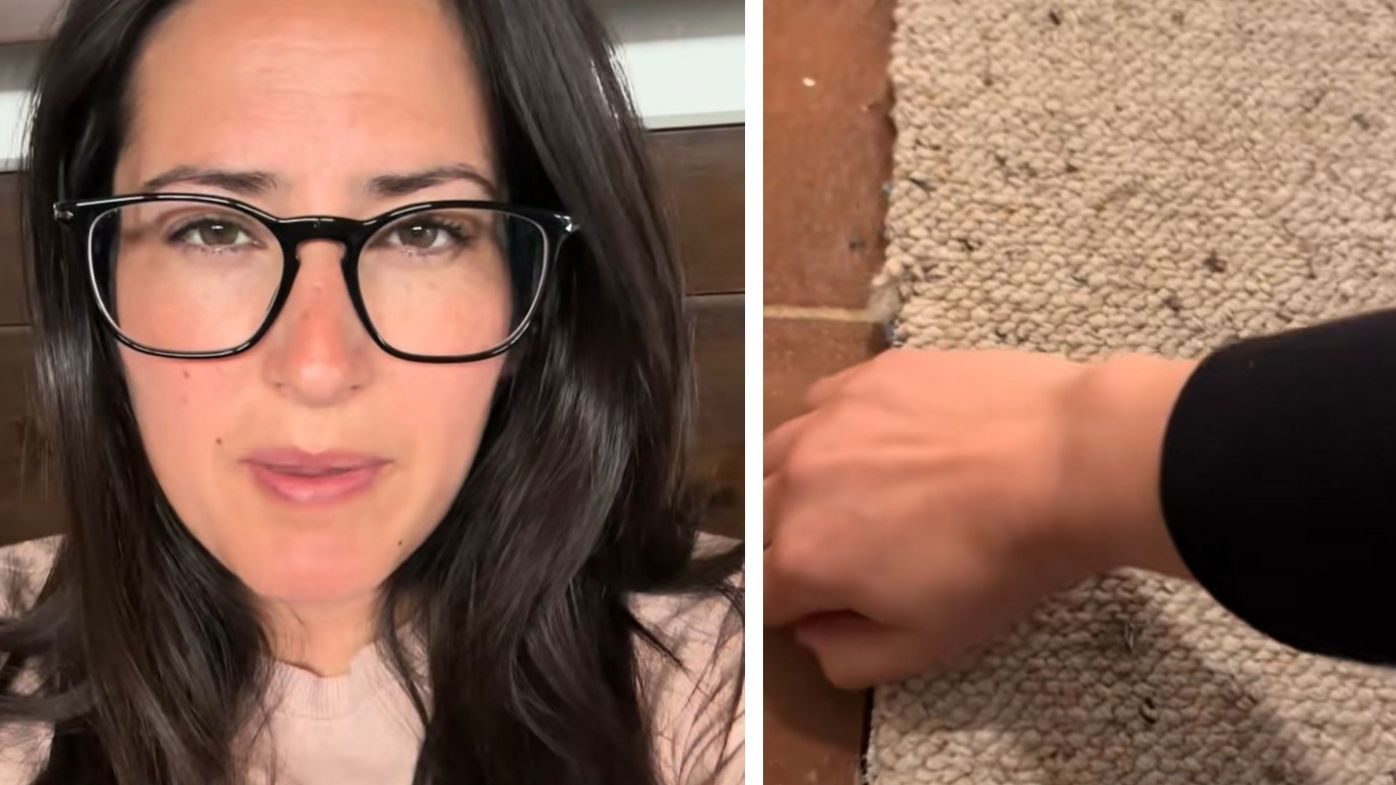 Taryn's parents found the unexpected during home reno