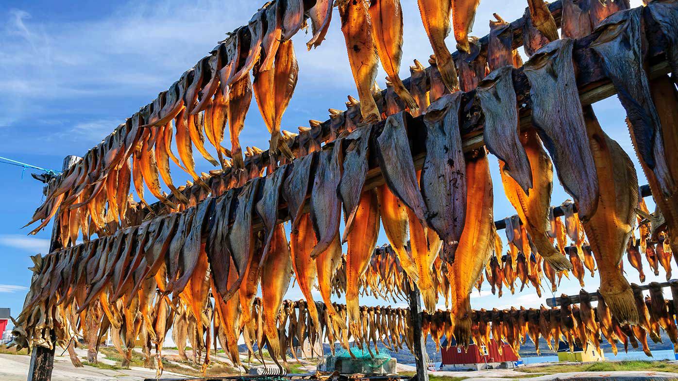 Greenland issues pamphlet to locals to ‘prepare for crisis’ 