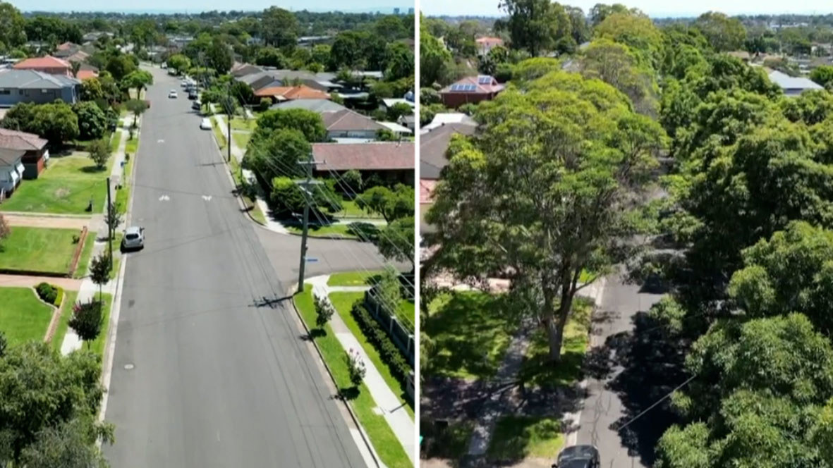 A trio of doctors for the environment have a striking health warning: in Western Sydney there aren't enough trees and it's killing people.
Two streets in the Western Sydney suburb of Toongabbie have been found to have a 20 degree difference - all because of extra shade.
