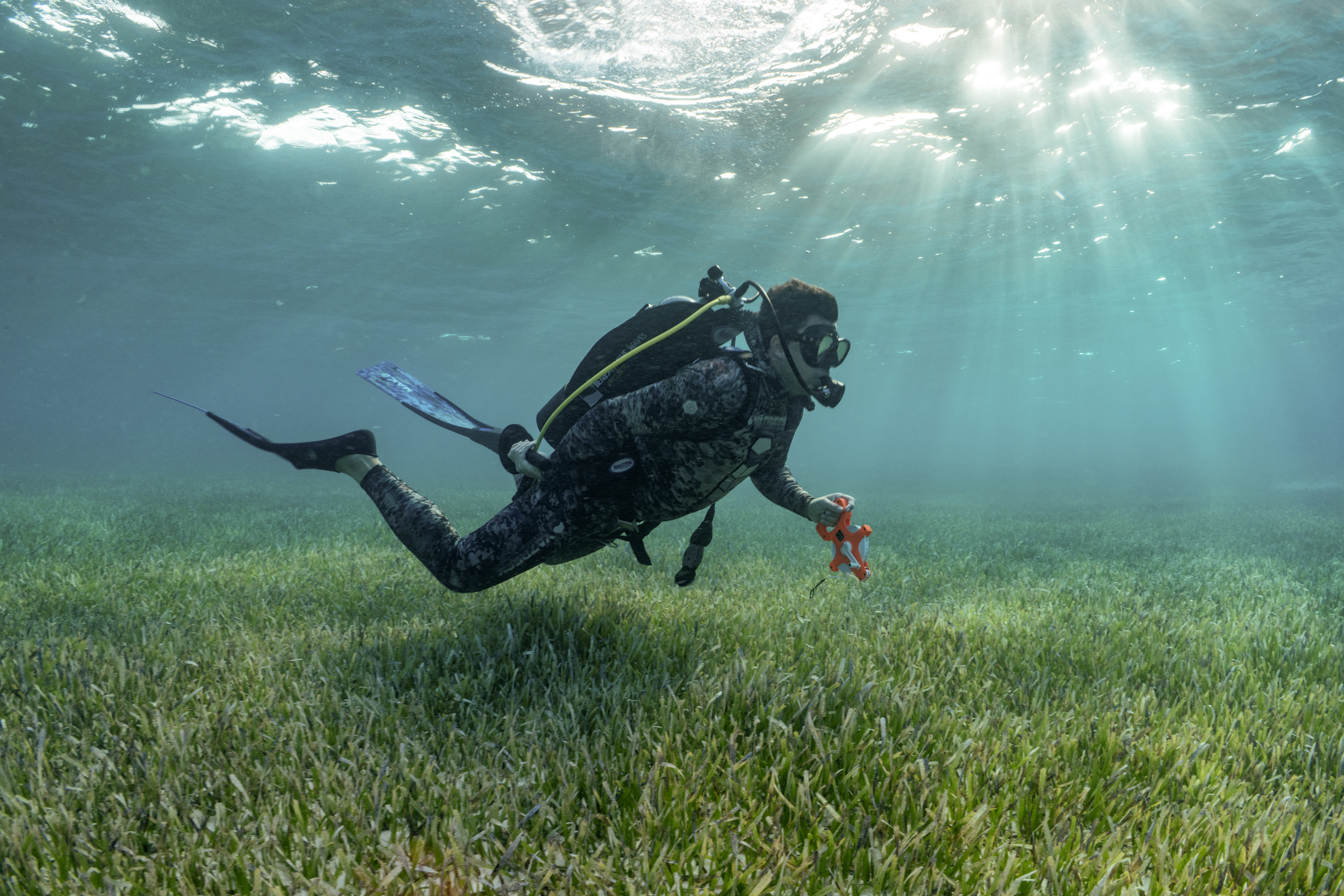 Dr Austin Gallagher surveys the Bahamas Bank seagrass meadow with SeaLegacy co-founders Cristina Mittermeier and Paul Nicklen. 