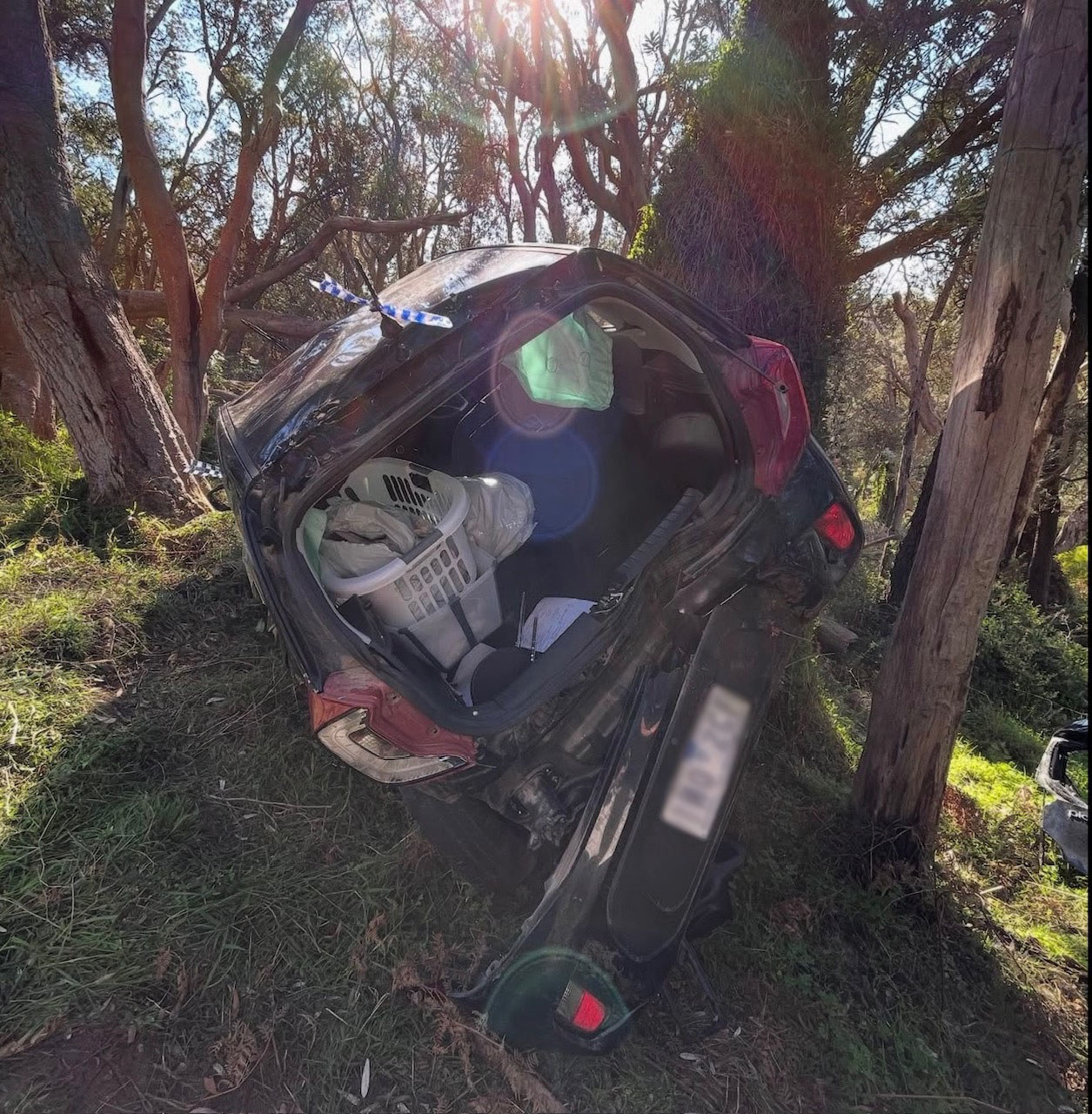 Dena Amy Kaplan car crash