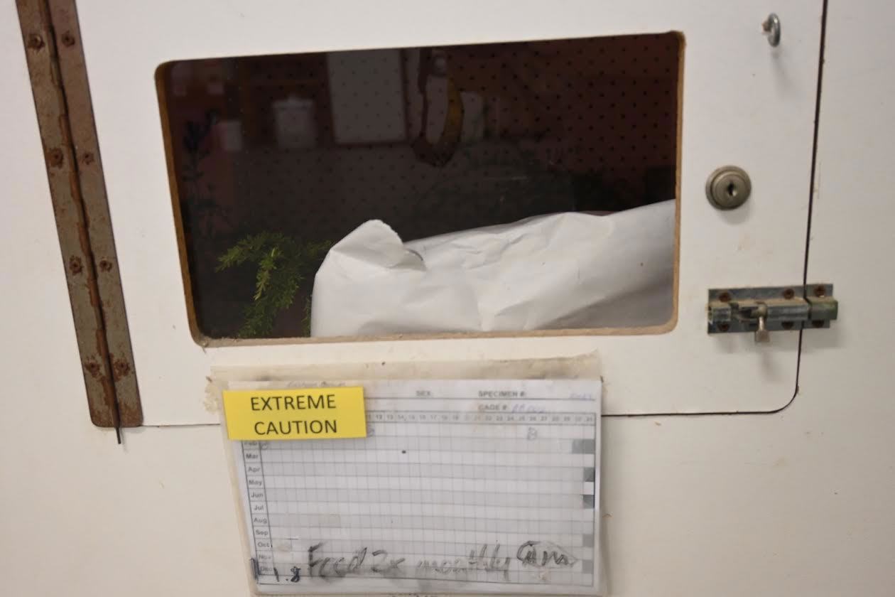 Behind every single door is a highly-venomous snake. Some of the more challenging individuals have been branded with yellow labels with "caution" or "extreme caution".