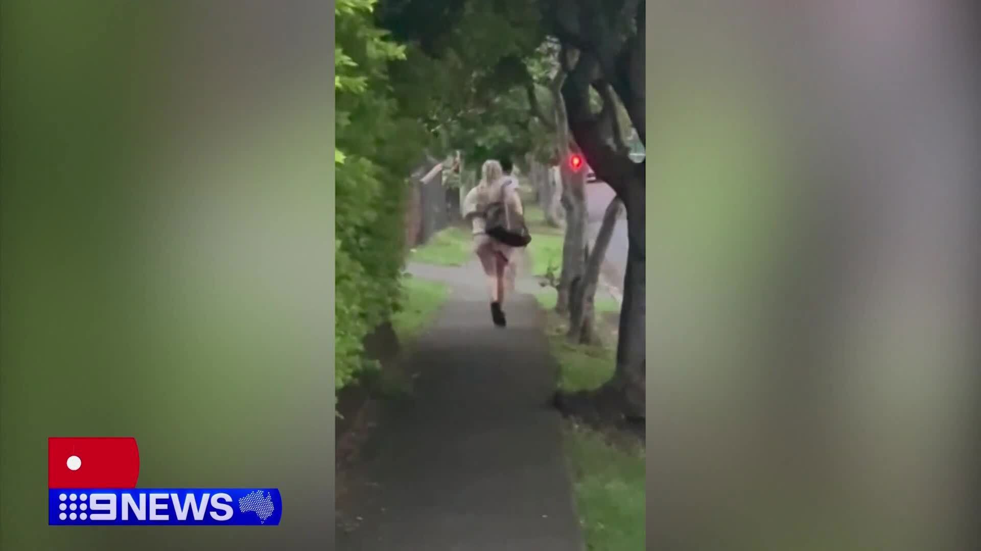 A pair of cowardly car thieves 