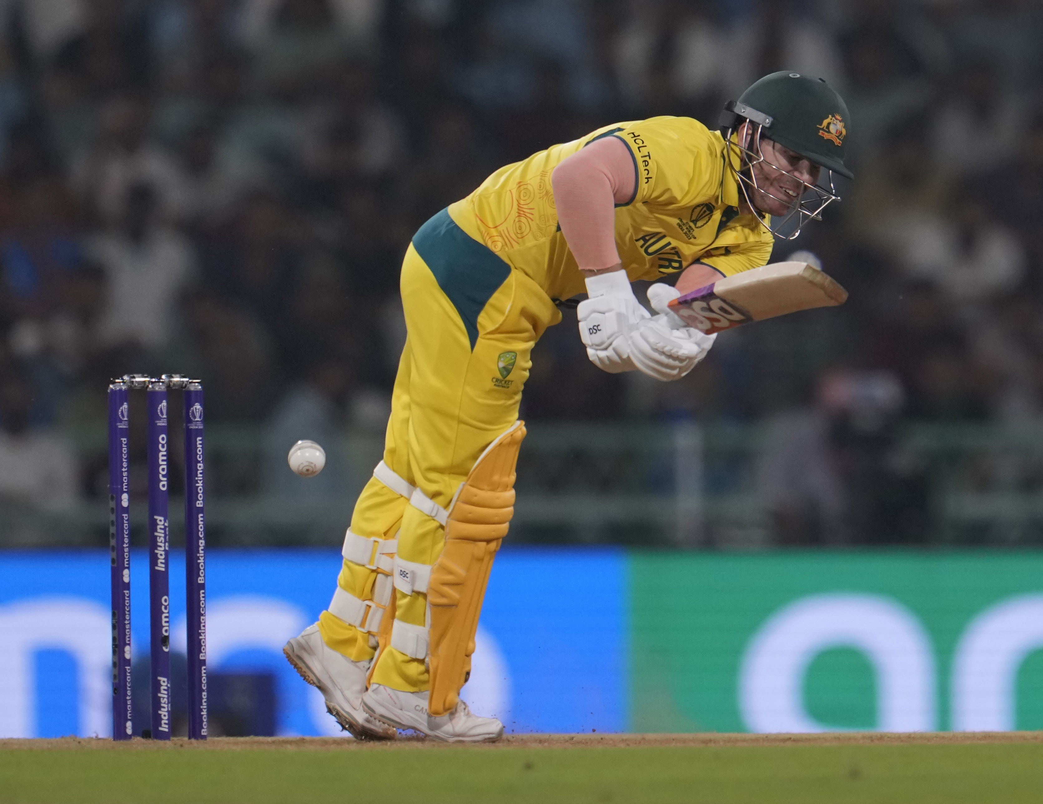 Australia's David Warner bats during the ICC Cricket World Cup.