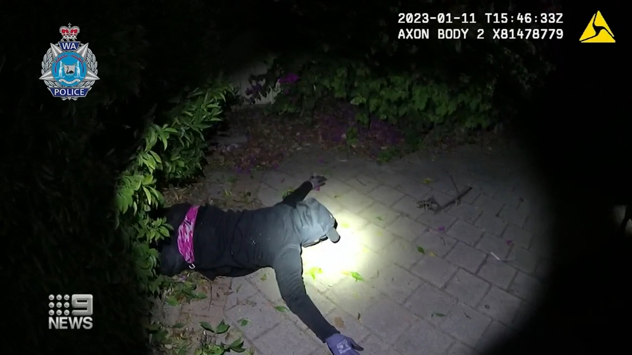 Police dog Boogie found one teenager who had fled and his in a bush.