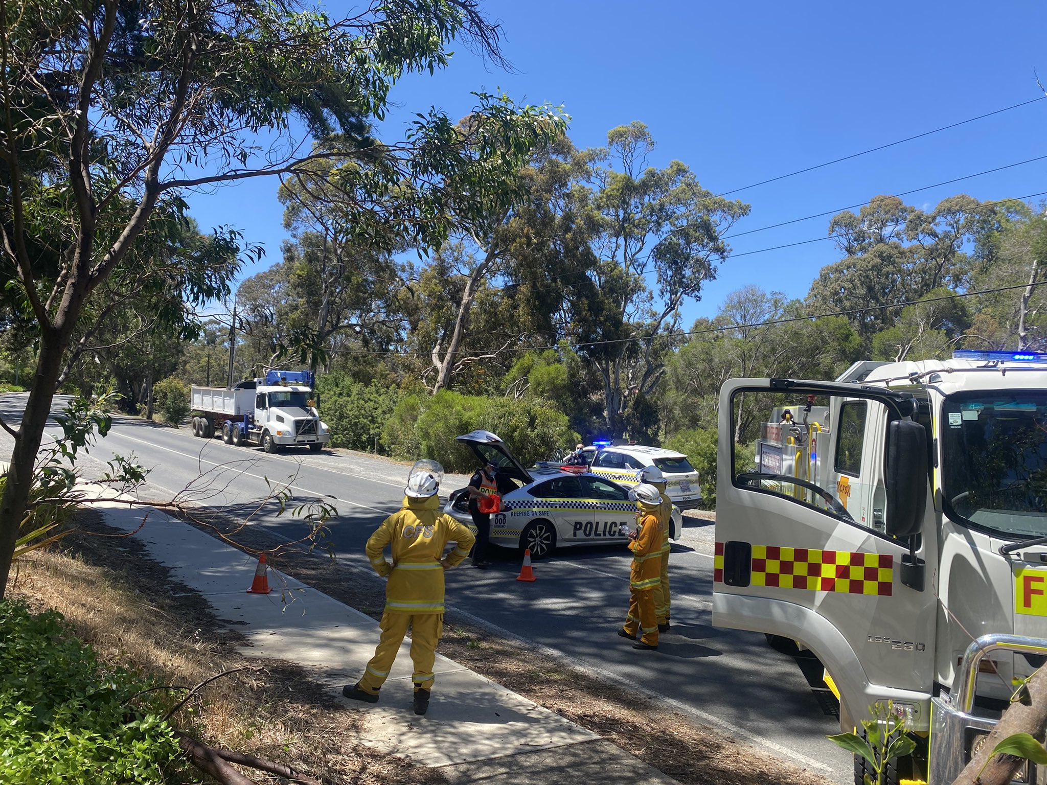 A bicycle rider has died in the Adelaide suburb of Coromandel Valley.