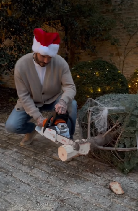 David Beckham puts together Christmas tree