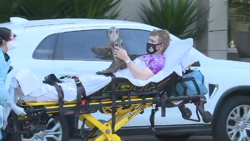 A man holding cowboy boots is seen being wheeled by ambulance officers after allegedly attempting to escape Queensland hotel quarantine by scaling an outside wall of the hotel he was confined to.