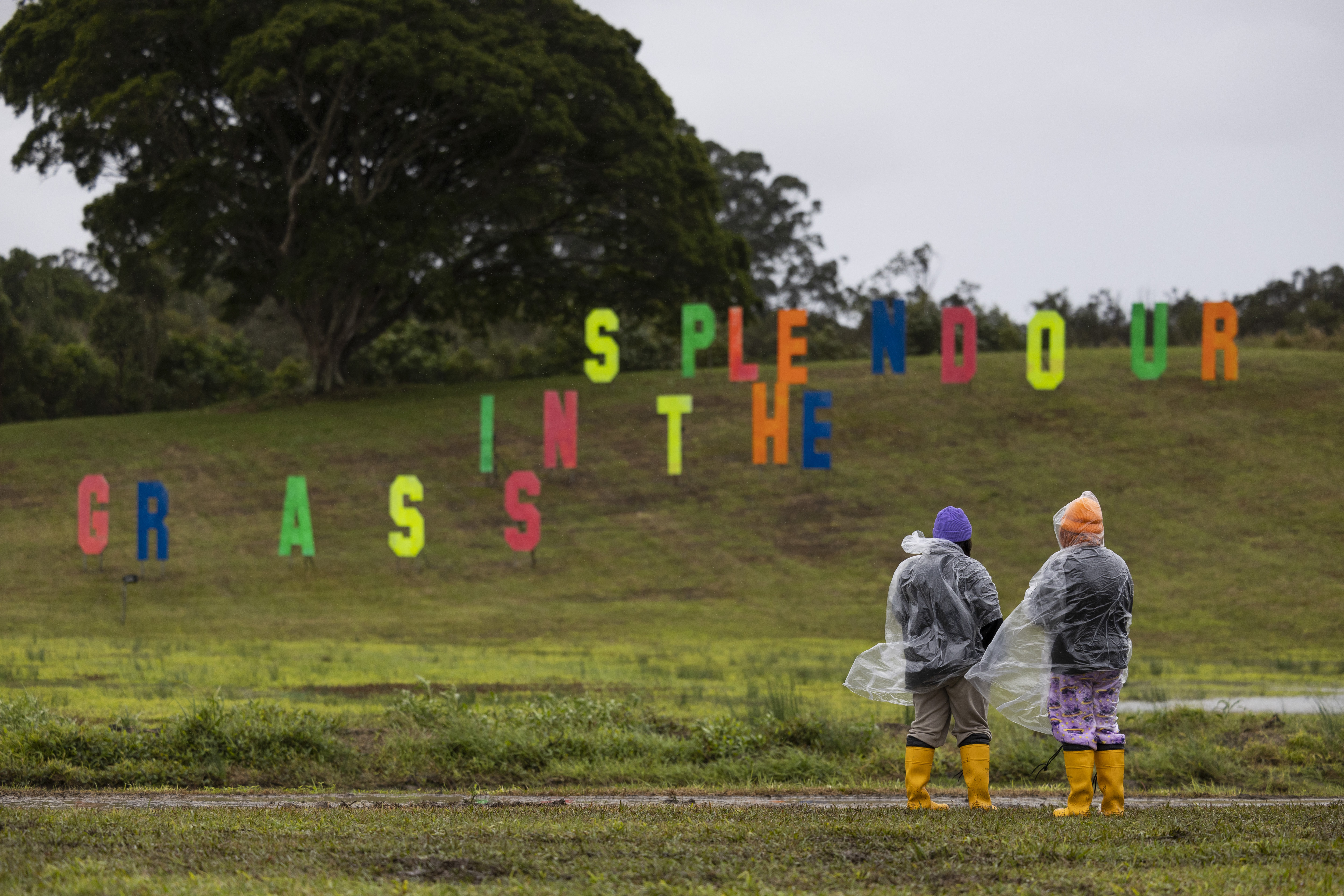 NSW Health issued an alert on Friday night after the disease was detected in two cases who attended the music festival.