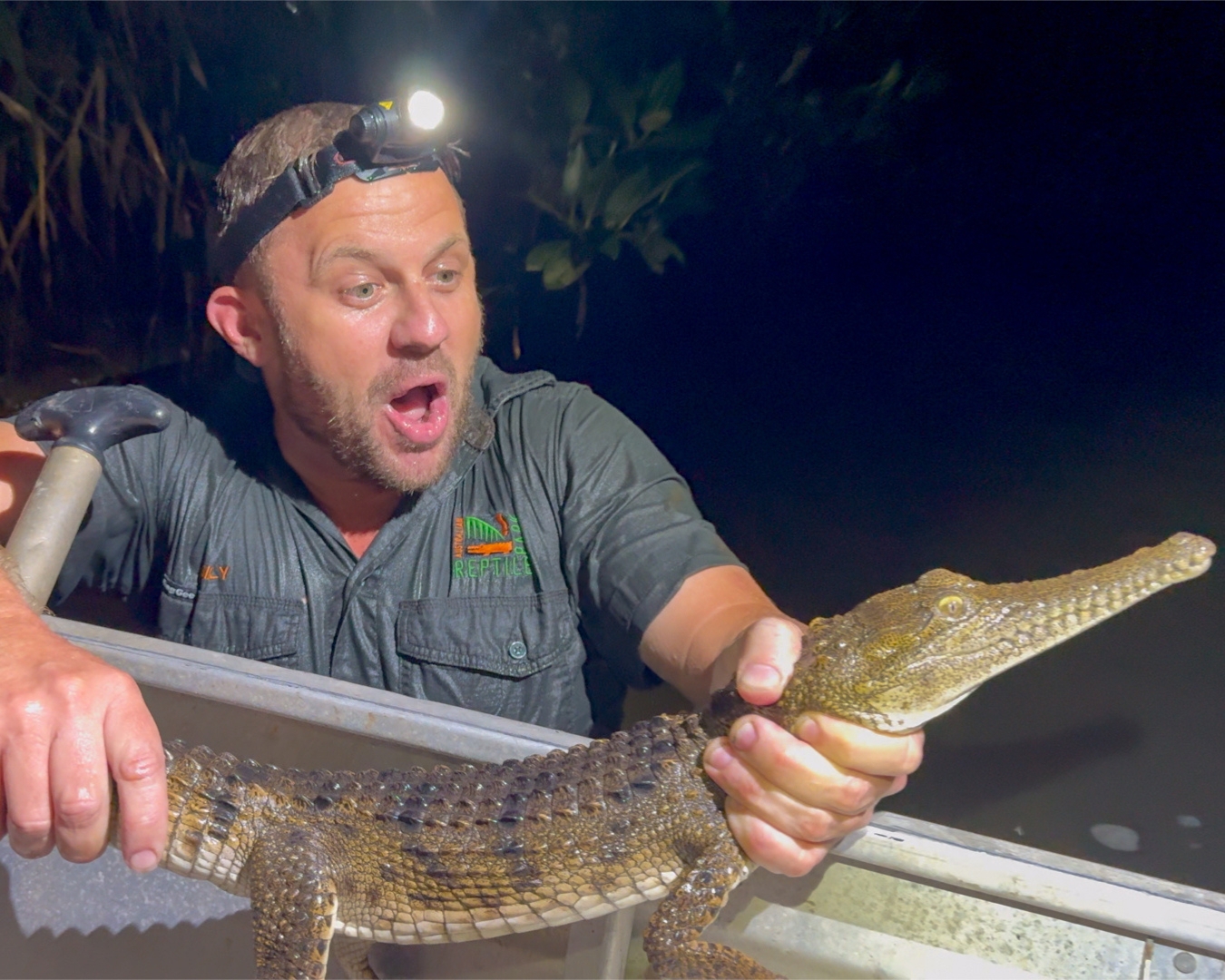 The young croc has been taken to the Australian Reptile Park, where it is being checked and cared for by a vet team.