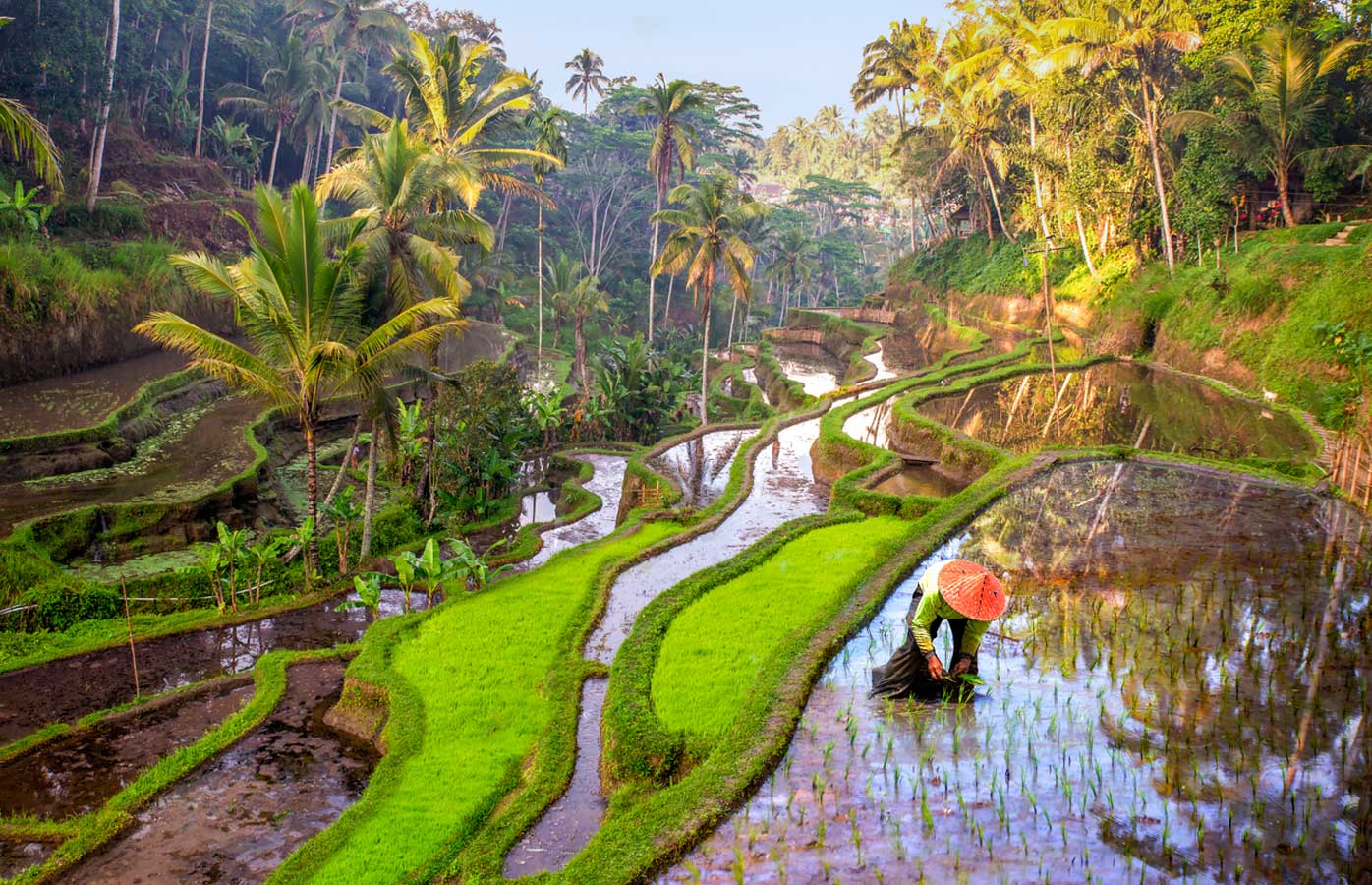 37. UBUD, BALI