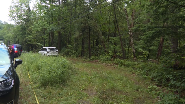 Police scoured the bushland around Lake George in upstate New York, where they later found Melina's body in a pond.