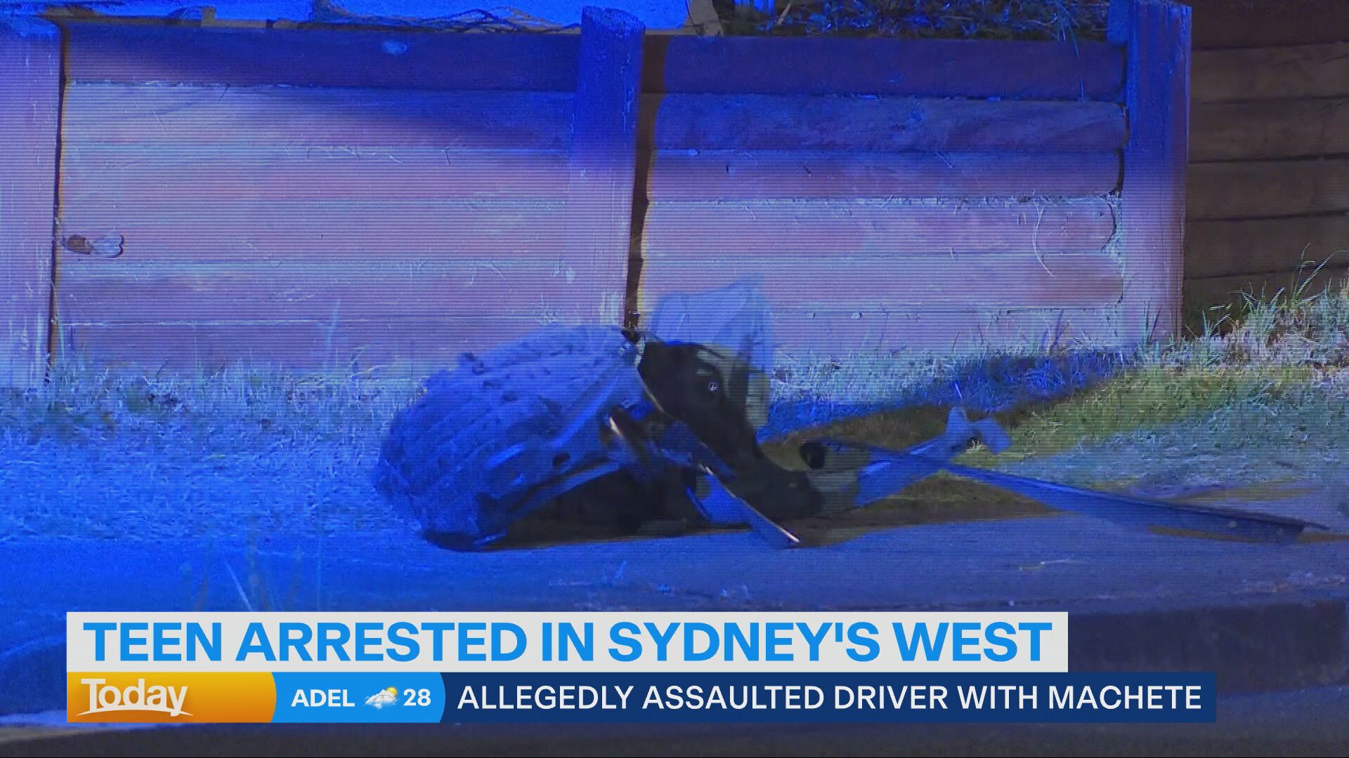 Teenager charged over alleged machete attack Blacktown