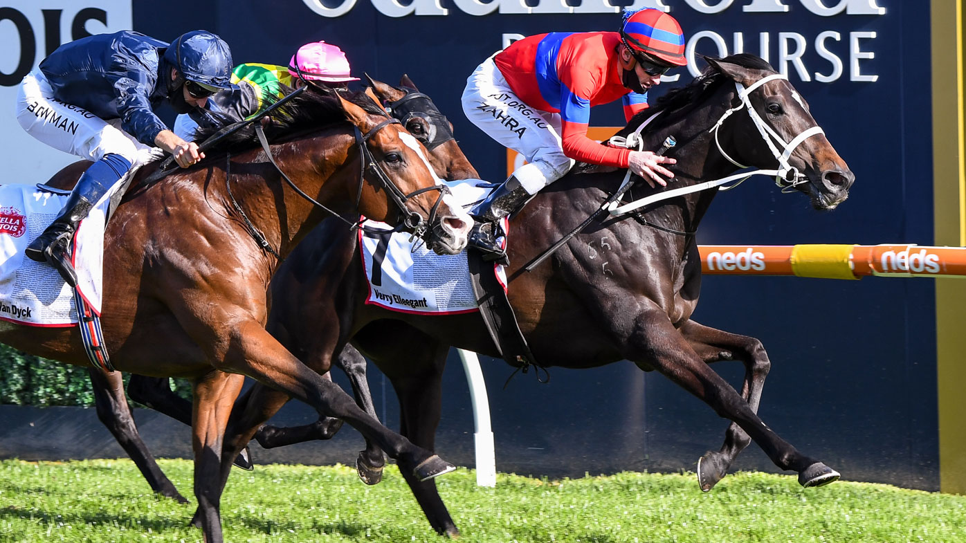 Great Australian Race Horses