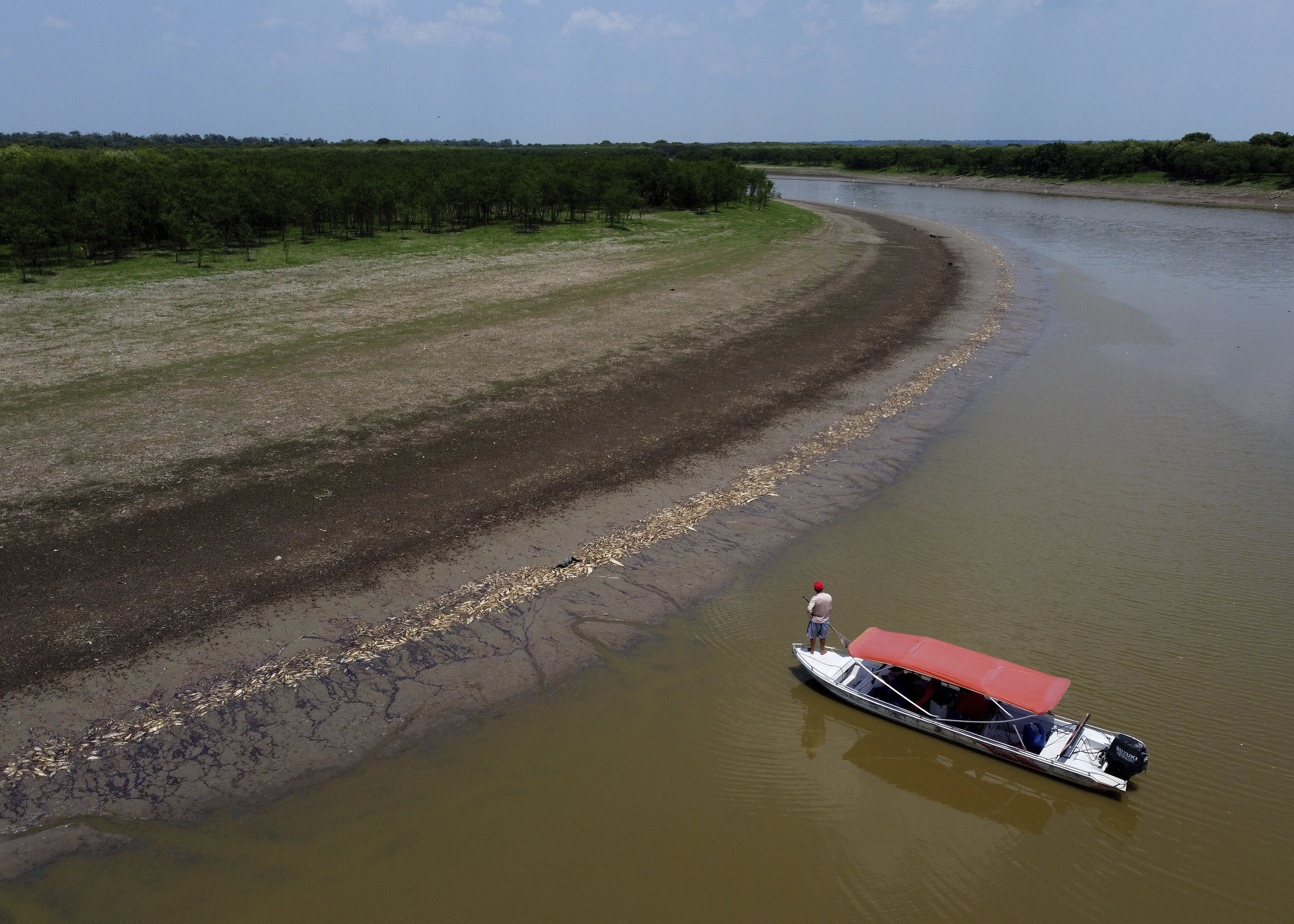A fisherman stands on his boat as he navigates near thousands of dead fish awash on the banks of Piranha Lake due to a severe drought in the state of Amazonas in Manacapuru, Brazil on Wednesday, September 27.
