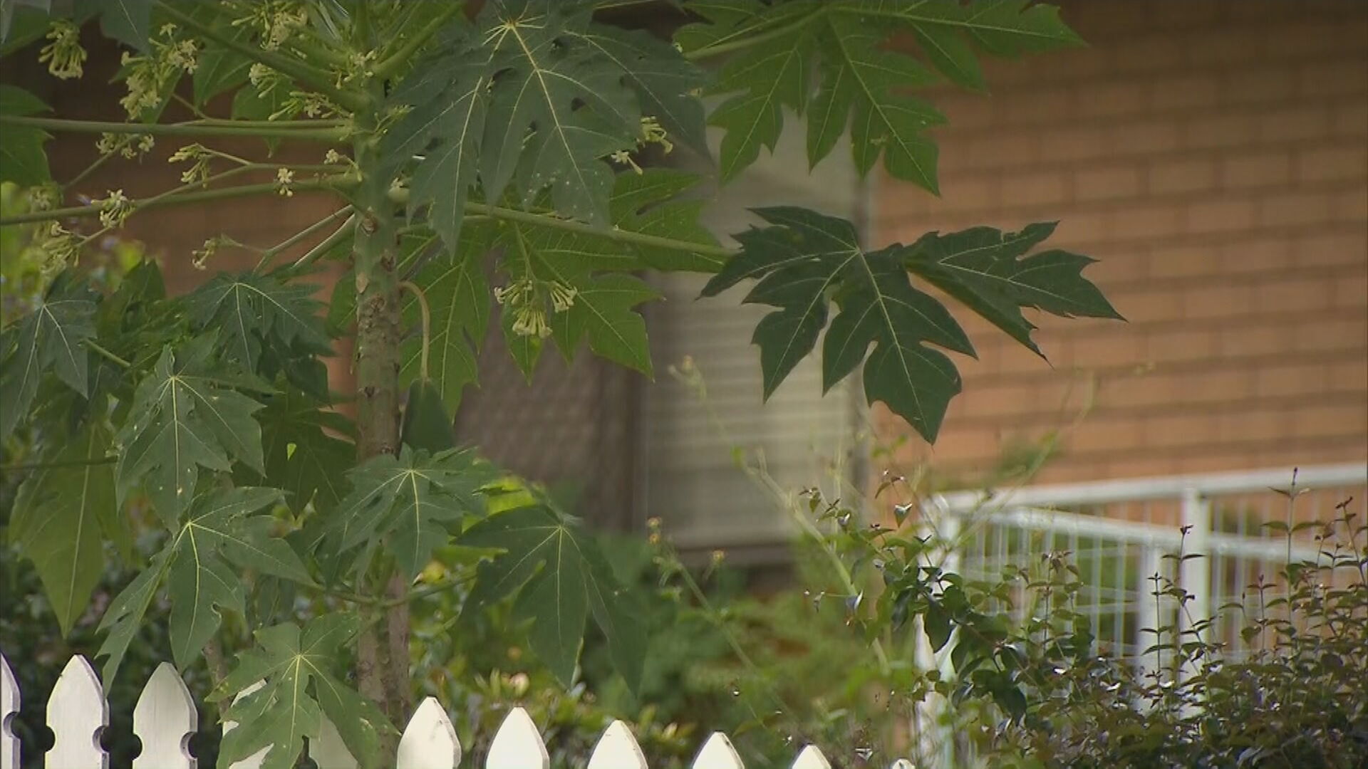 The child's grandfather says the family do not plan to remain in the home after their orderl.