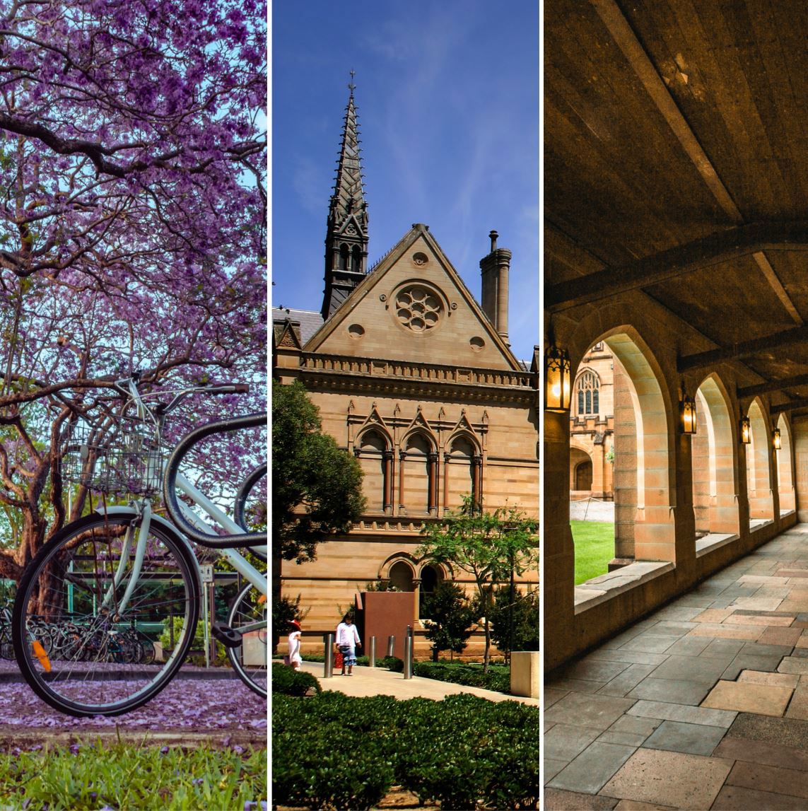 The Australian universities ranked among the world's best by academic experts