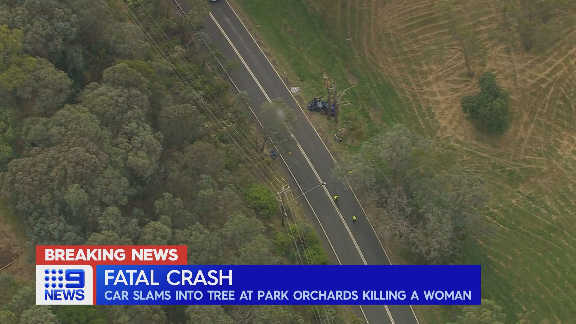 A wom﻿an has died and a man has been seriously injured after a crash in Melbourne's north-east.