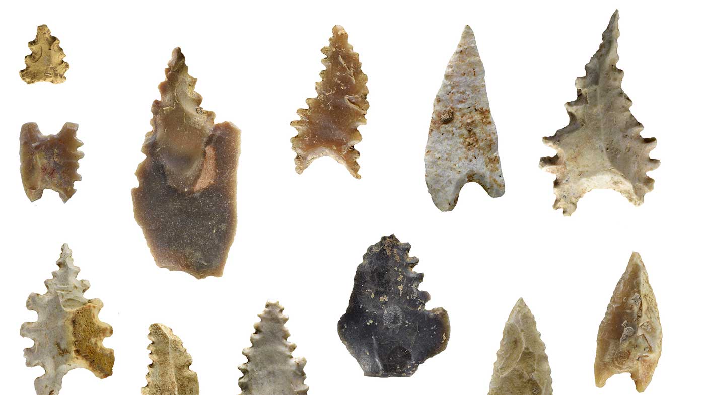 The largely unknown Toalean culture made distinct and complicated stone arrowheads.