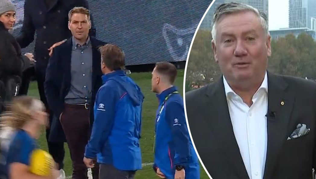 Eddie McGuire reacts to the Kane Cornes v Luke Beveridge dust up.