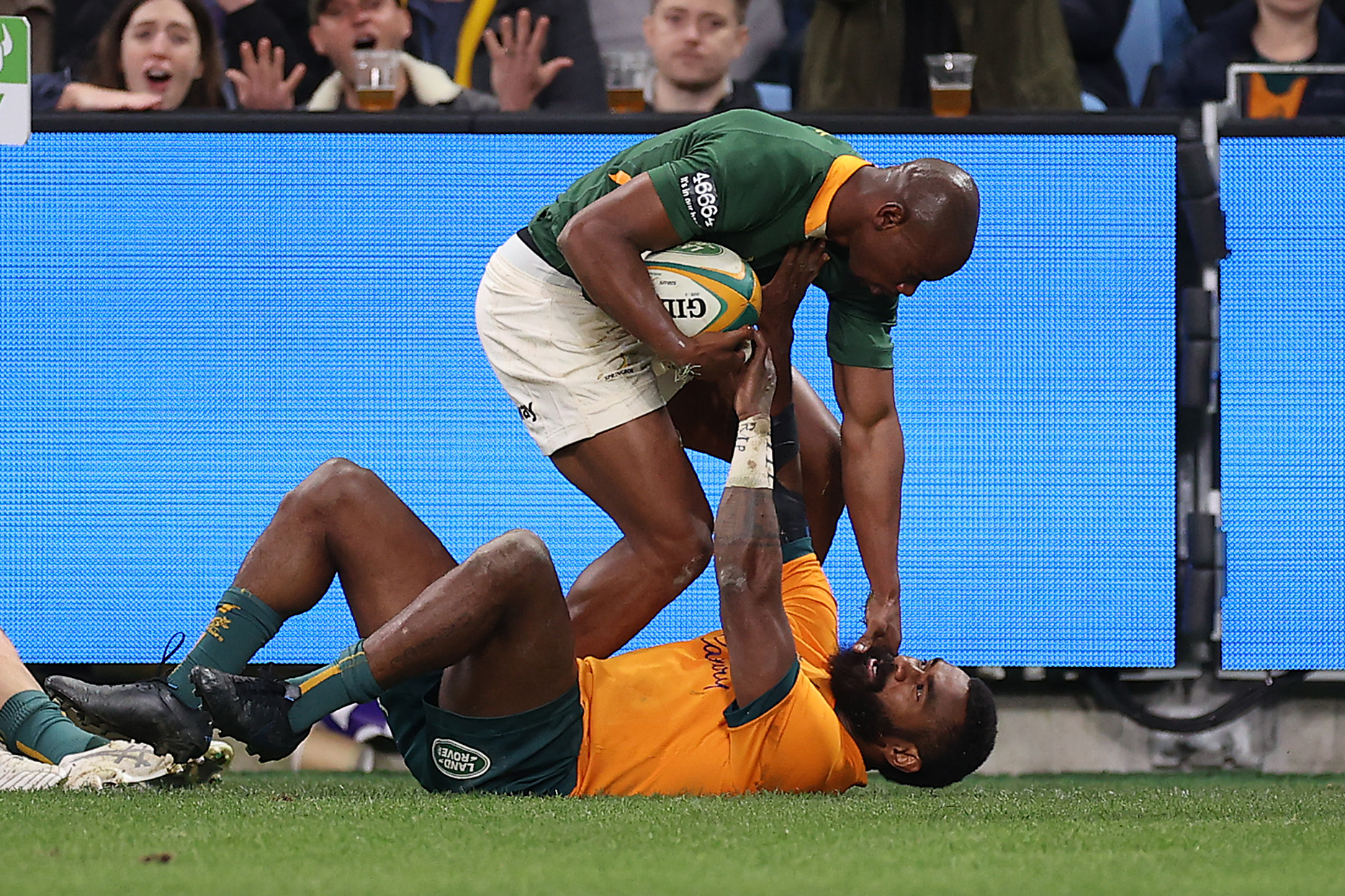 Rugby Championship 2022 Superb Springboks exact revenge on Wallabies