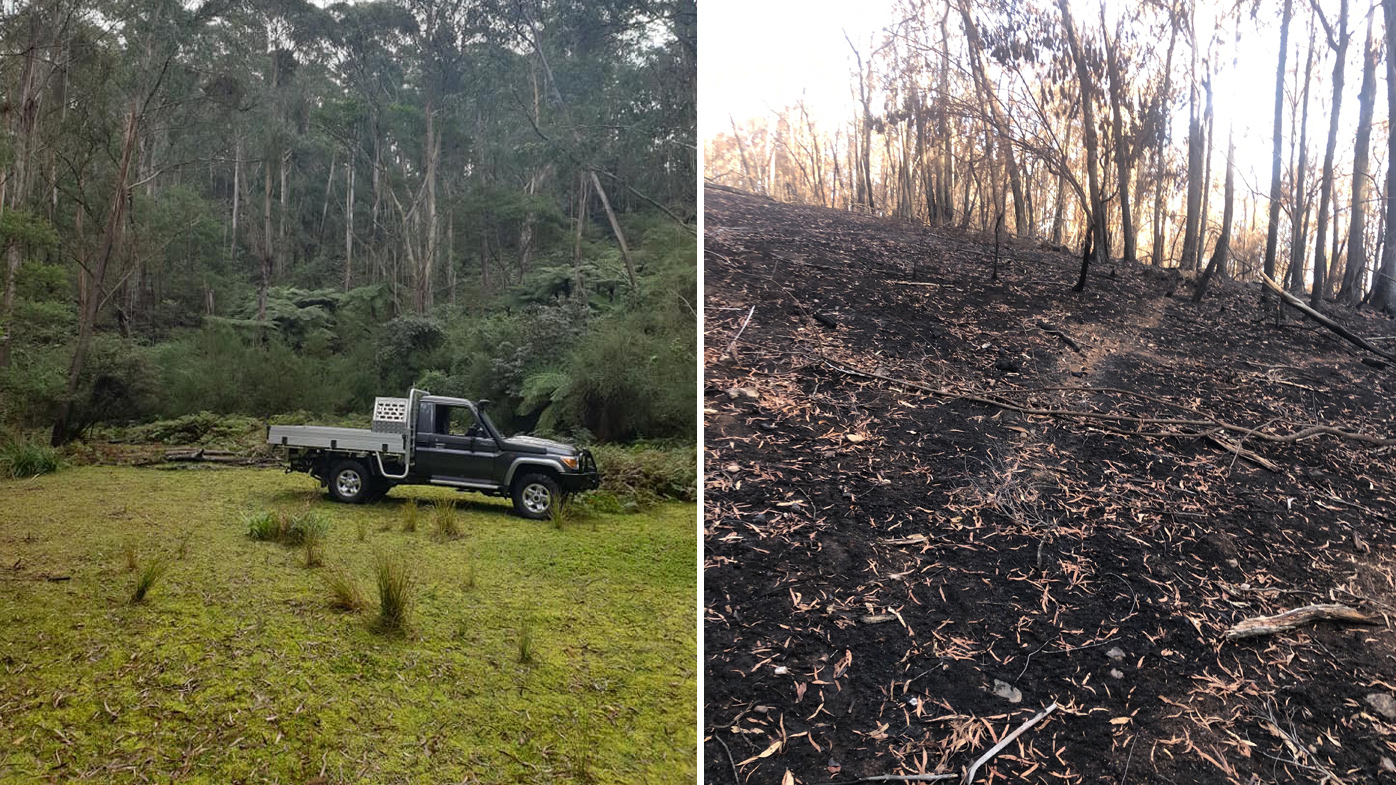 Servicewoman to return home from Afghanistan to destroyed farm near Narooma NSW. The before and after photo shows the effect of the bushfire damage.
