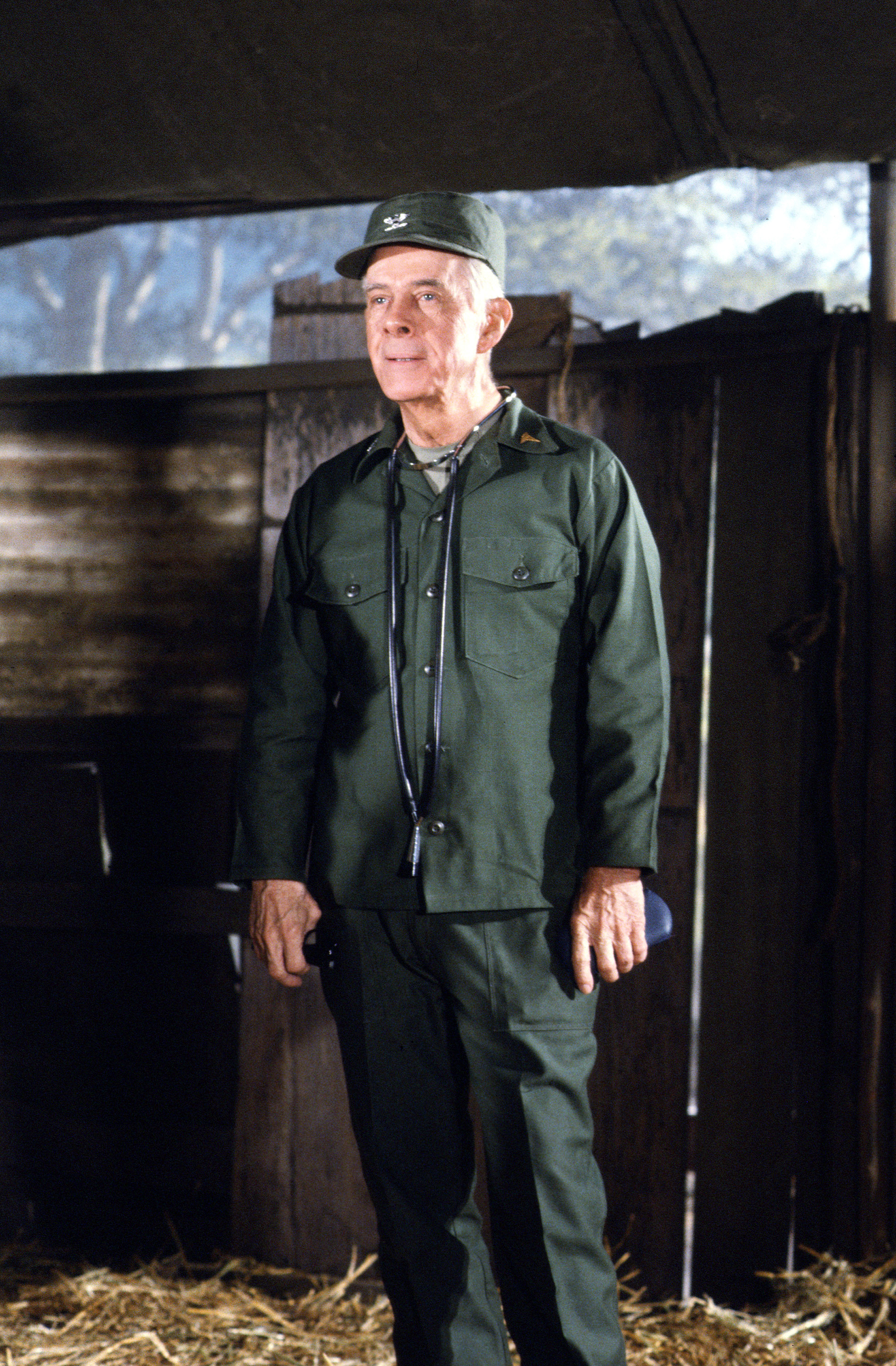 Harry Morgan as Colonel Sherman T. Potter: Then 