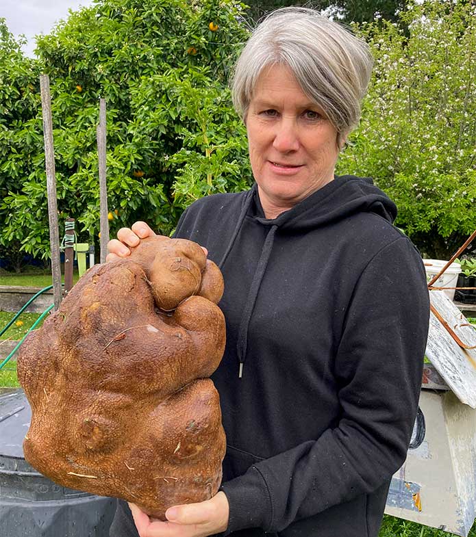 Donna Craig-Brown holds 'Doug', what was believed to be the world's largest potato in the garden of her small farm near Hamilton, New Zealand.