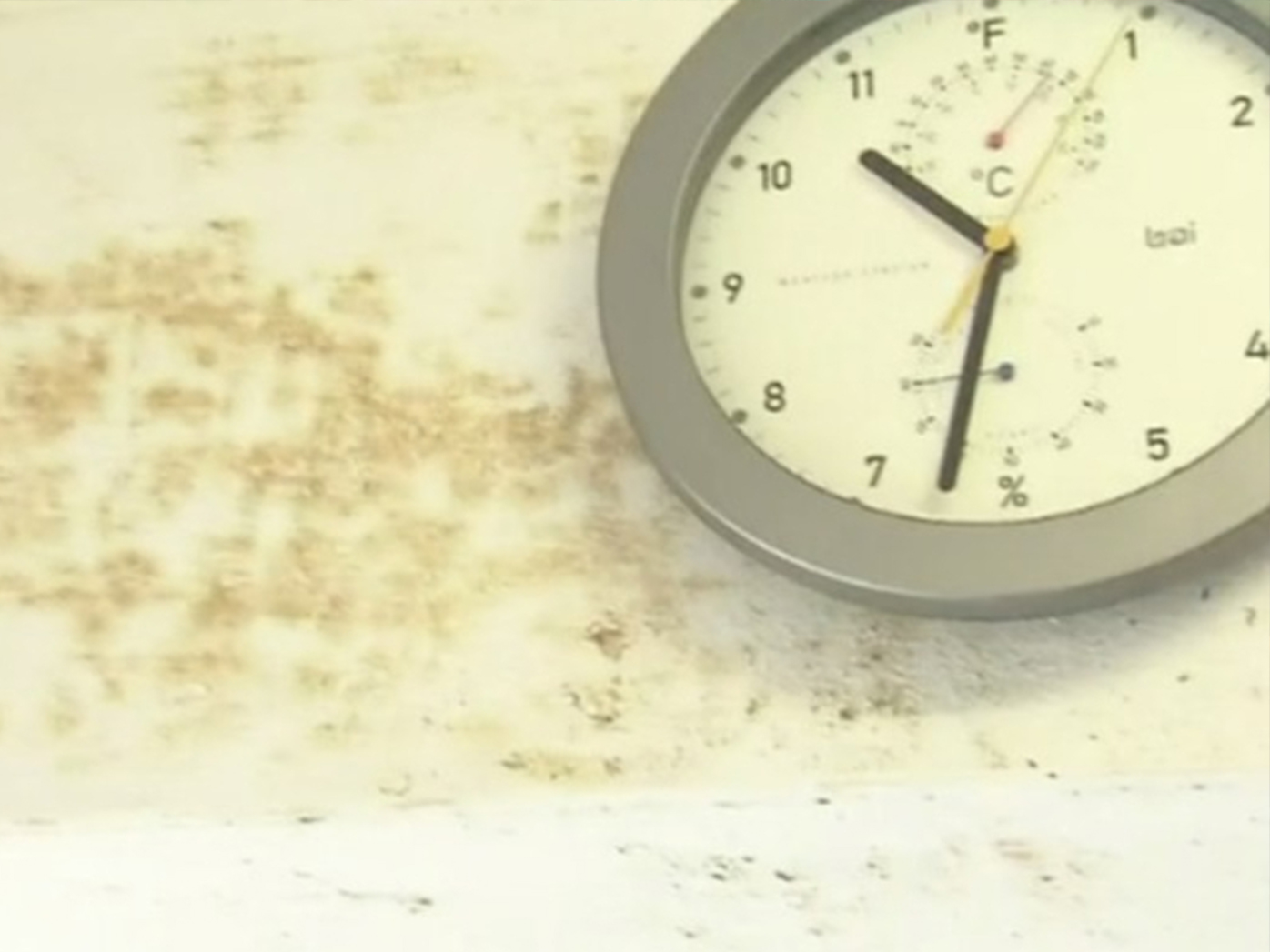  How to prevent mould infestations as winter bites