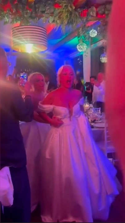 Rebel Wilson Ramona Agruma wedding