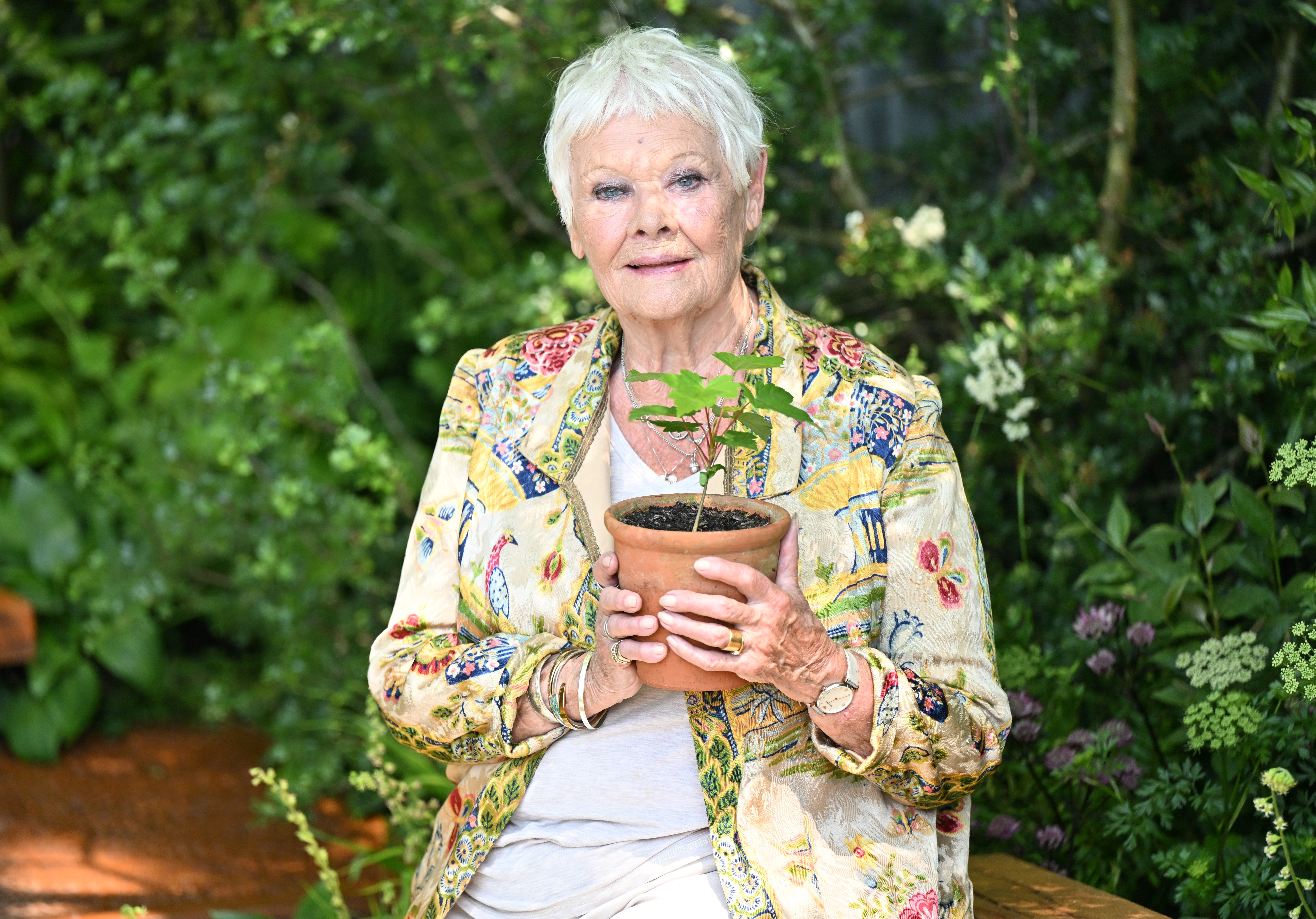 LONDON, ENGLAND - MAY 20: Dame Judi Dench attends The RHS Chelsea Flower Show at Royal Hospital Chelsea on May 20, 2024 in London, England. All the main garden categories return to the Royal Hospital Chelsea this year. The Show Gardens along Main Avenue, Sanctuary and Feature Gardens explore themes through horticulture, while the All About Plants area in the Floral Marquee focuses on planting. This year is billed as the most sustainable to date. (Photo by Jeff Spicer/Getty Images)
