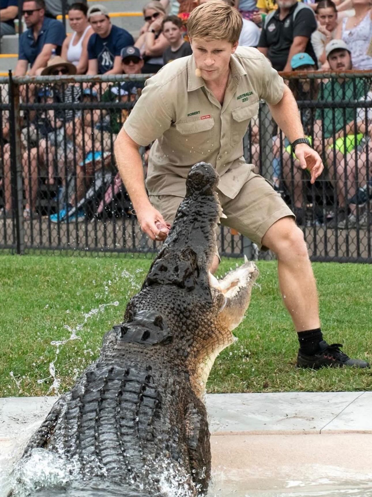 Robert Irwin feeding a crocodile at Australia Zoo