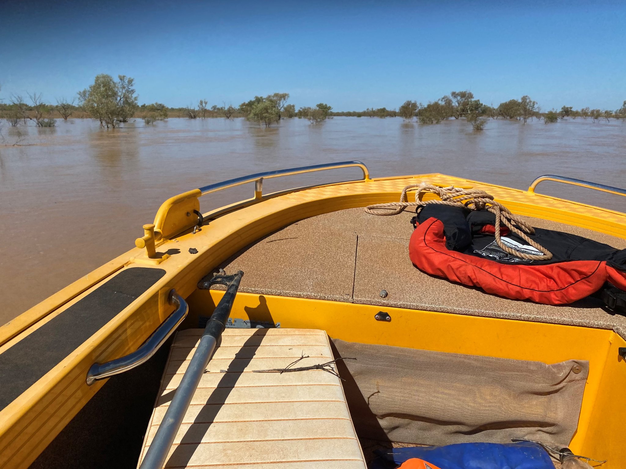 Windorah has received 8mm of rain since 9am. 