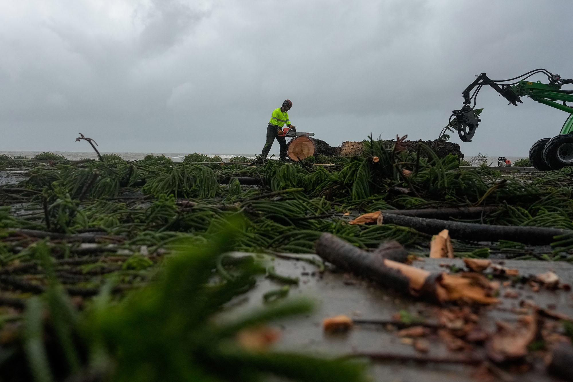 A main chainsaws a collapsed tree on March 09, 2025 in Redcliffe Brisbane, Australia. Australia's east coast is experiencing severe weather as ex-Tropical Cyclone Alfred moves south. While downgraded from cyclone status, the weather system continues to bring damaging winds, heavy rainfall, and flash flooding, particularly in the Gold Coast and northern NSW regions. 