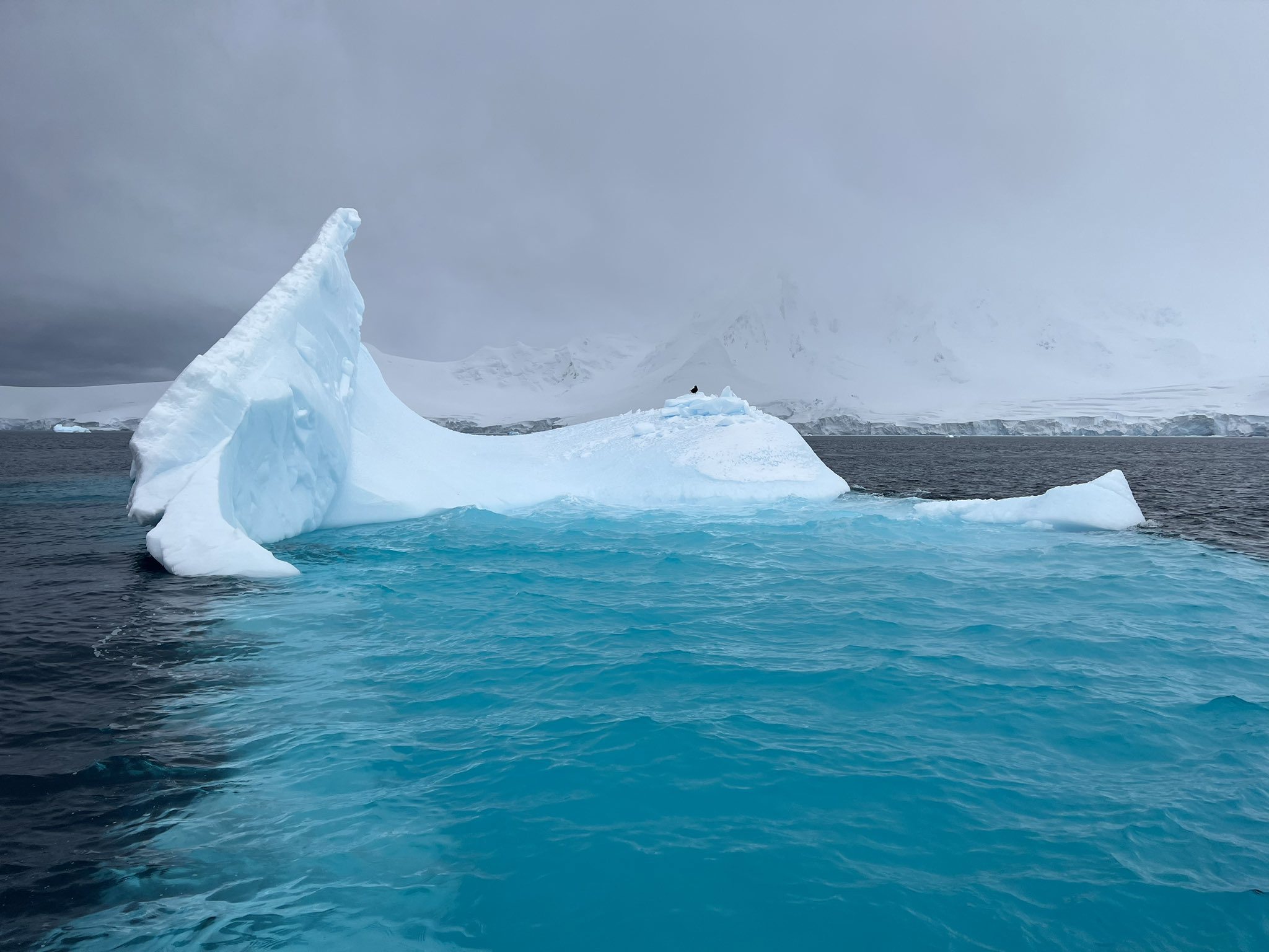 Emily Cunningham spent six months in Antarctica with her partner. 