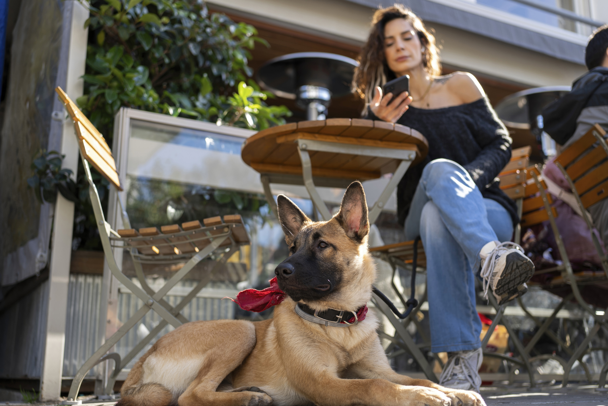 Dog and owner in a coffee shop.