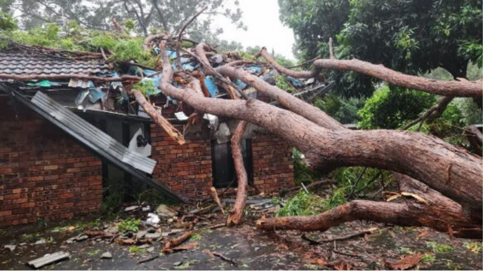 Brooke Hanson and dad, Ian Hanson home damage cyclone Alfred Today Show March 11, 2025.