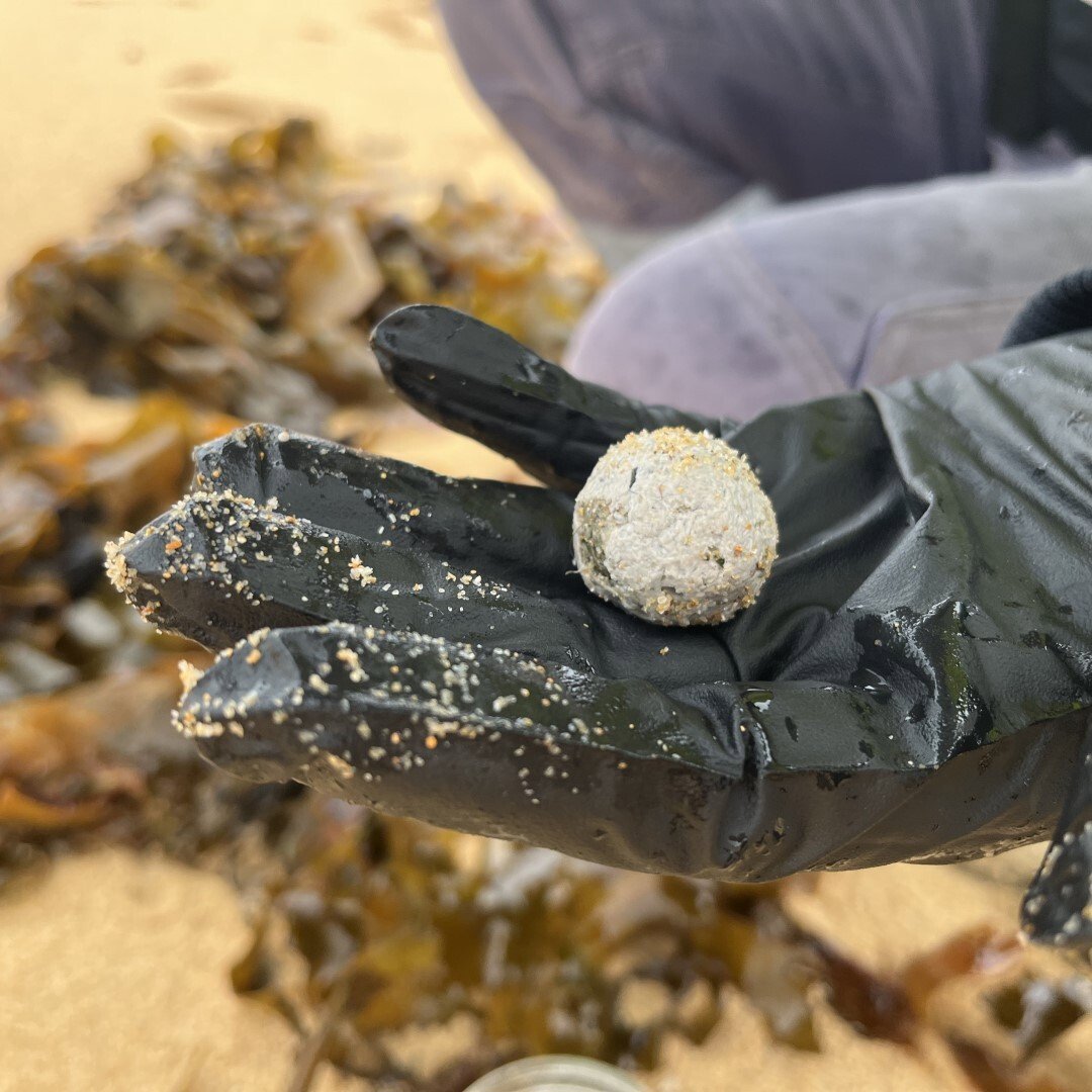 Debris balls have washed up on several NSW ﻿beaches again, but authorities are unsure whether they are related to the ones that were previously found along dozens of Sydney beaches.