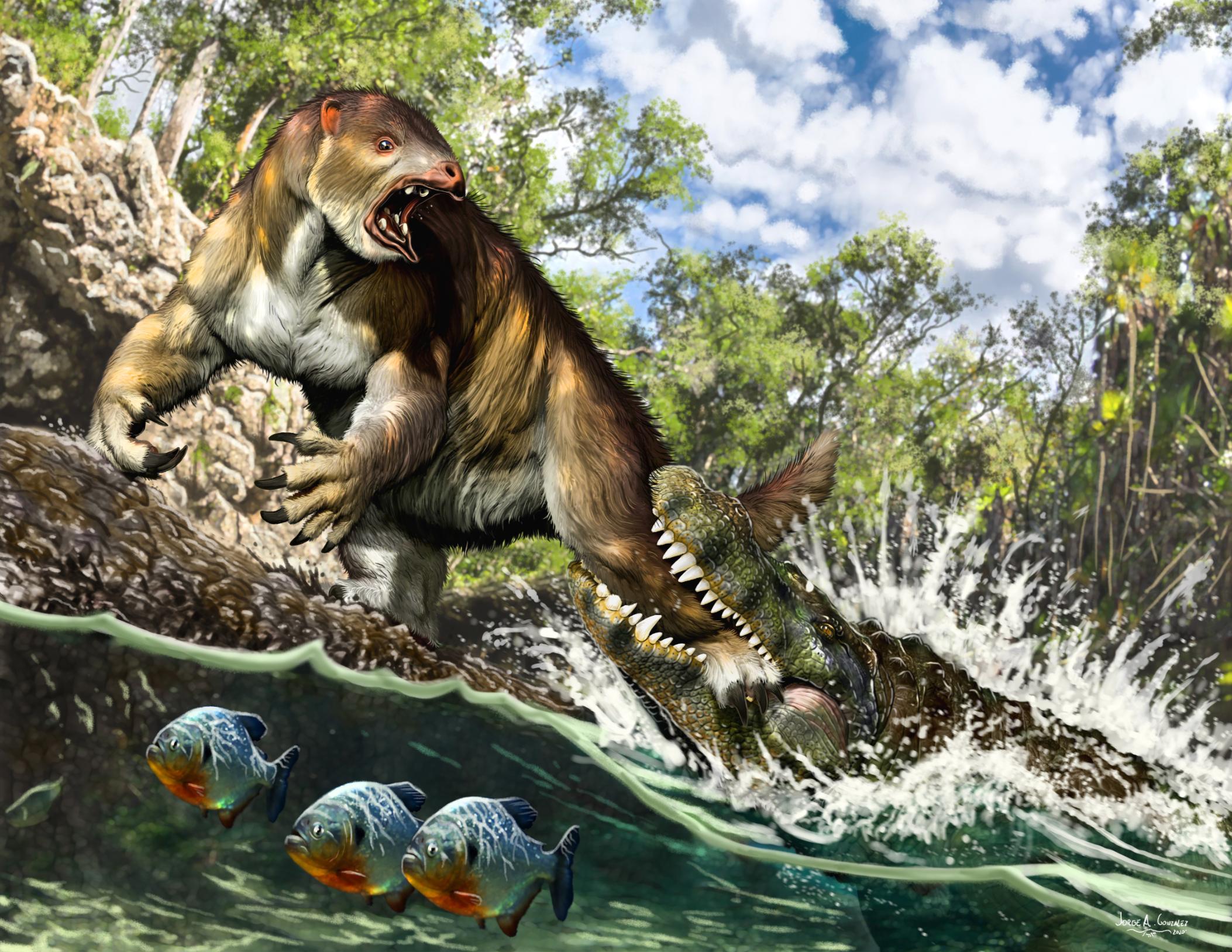 Tooth marks in 13-million-year-old fossil reveals 'strongest bite force  ever in the animal kingdom'