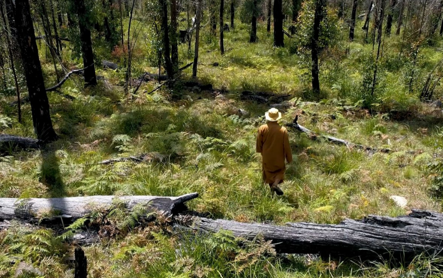 Buddhist retreat for sale bushland New South Wales Domain 