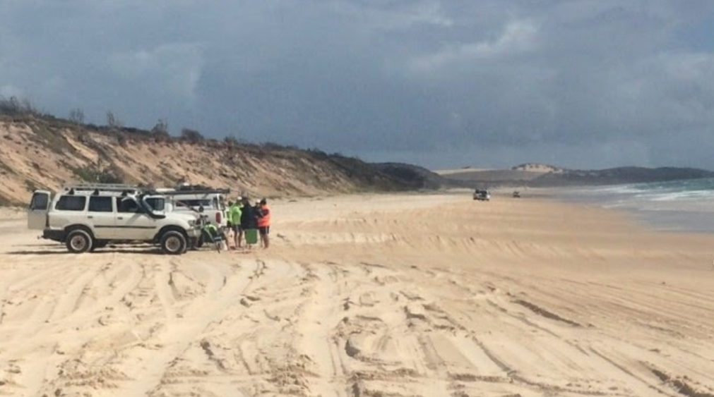 A young boy has been bitten by a dingo on Queensland's Fraser Island for the second time in weeks.