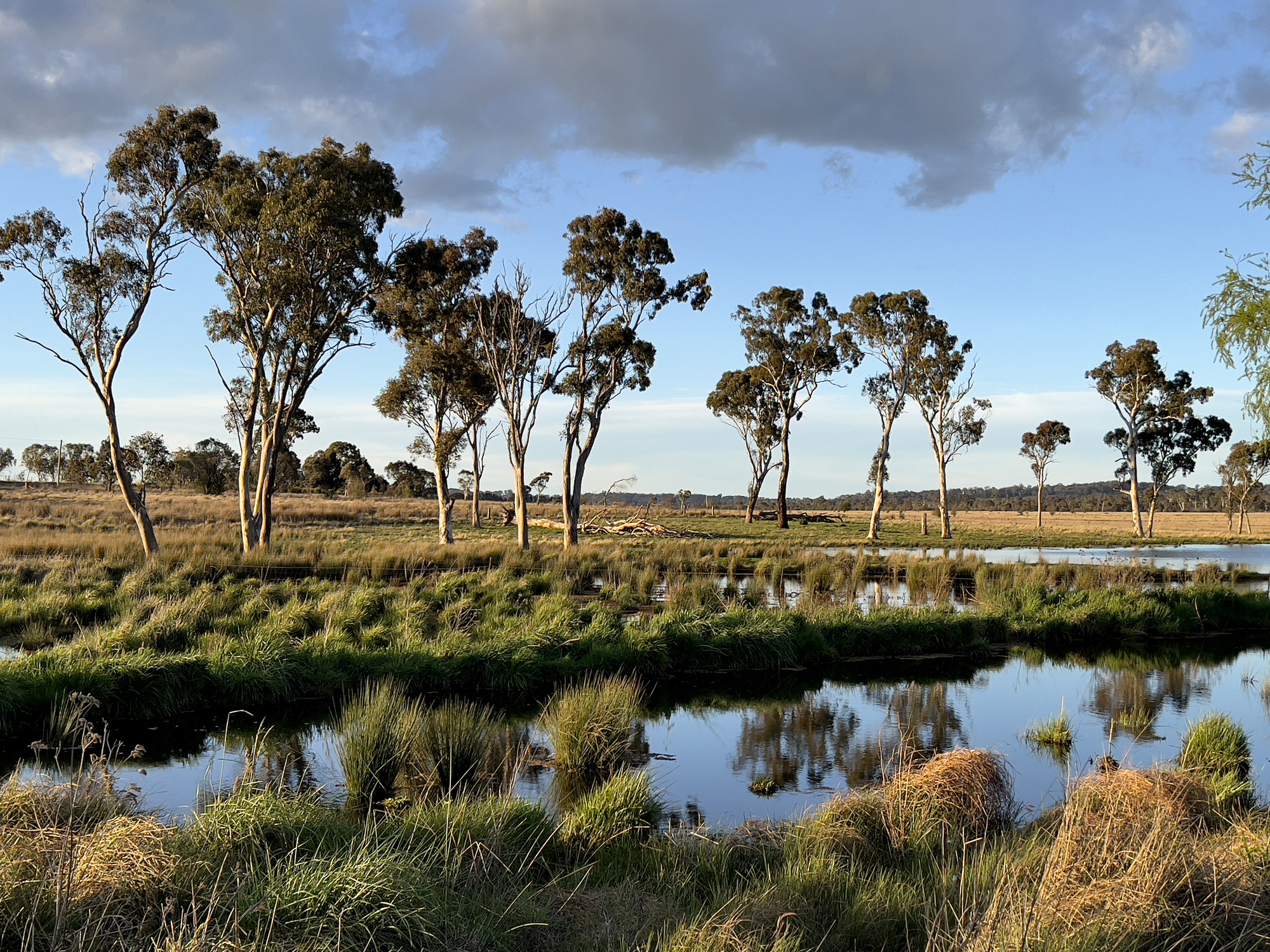 Rural NSW