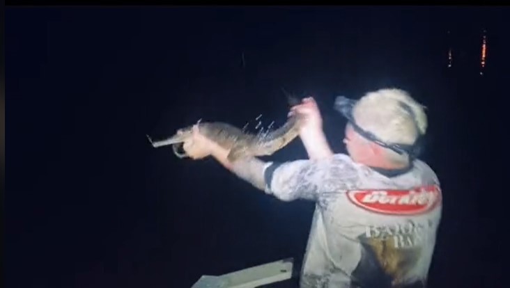 An amateur crocodile hunter from Townsville has been fined thousands after filming and posting videos of him illegally catching crocodiles to video sharing platform Tiktok.
